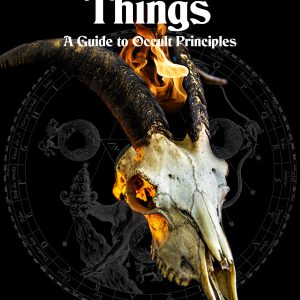 The Reality of Things - PDF