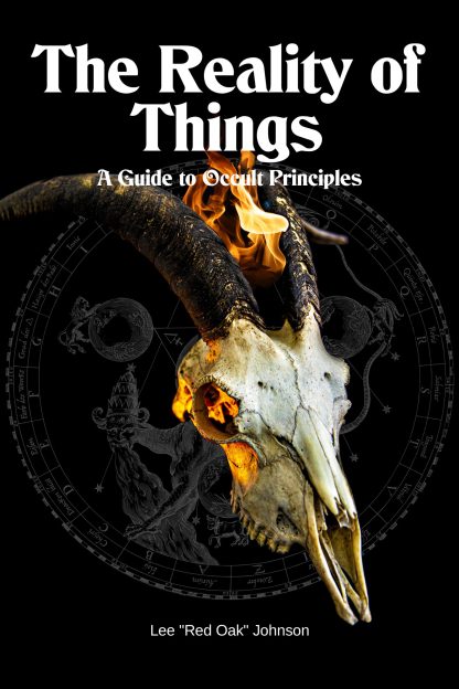 The Reality of Things - Paperback